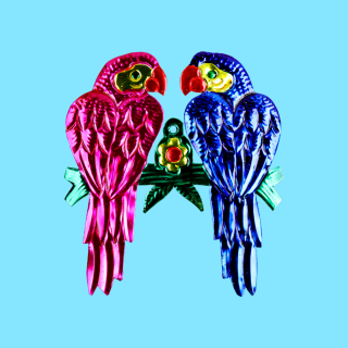 Coppia di Pappagalli...