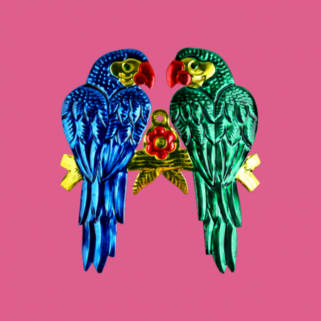 Coppia di Pappagalli...