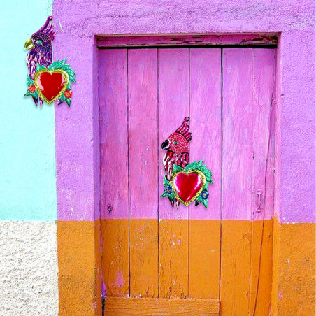 Pappagallo Innamorato con...