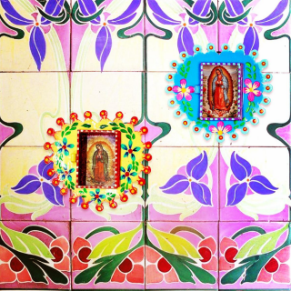 Teca Rotonda Guadalupe