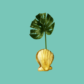 Scultura Conchiglia...